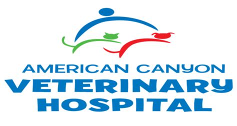 American canyon veterinary hospital  The company's filing status is listed as Active and its File Number is 3249935